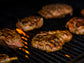 Smoker Bundle
